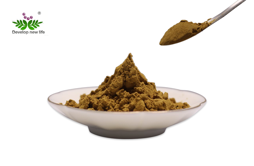 Centella Asiatica Extract Powder